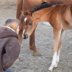 Meet your Posher, Adrienne